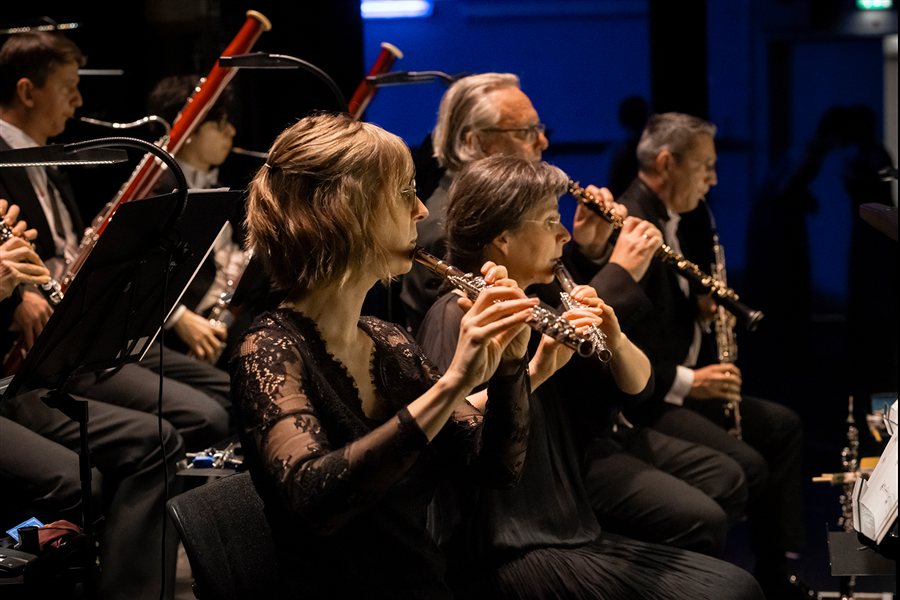 Stückbild - 3. Philharmonisches Konzert der Elbland Philharmonie Sachsen 