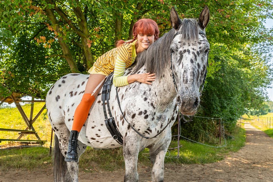 Stückbild - Pippi Langstrumpf