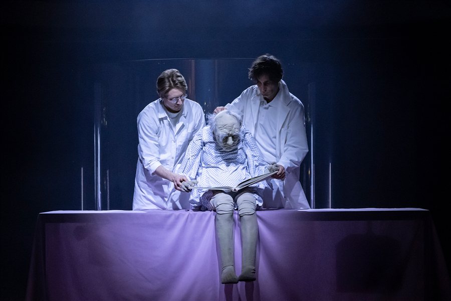 Stückbild - The Lion`s Face