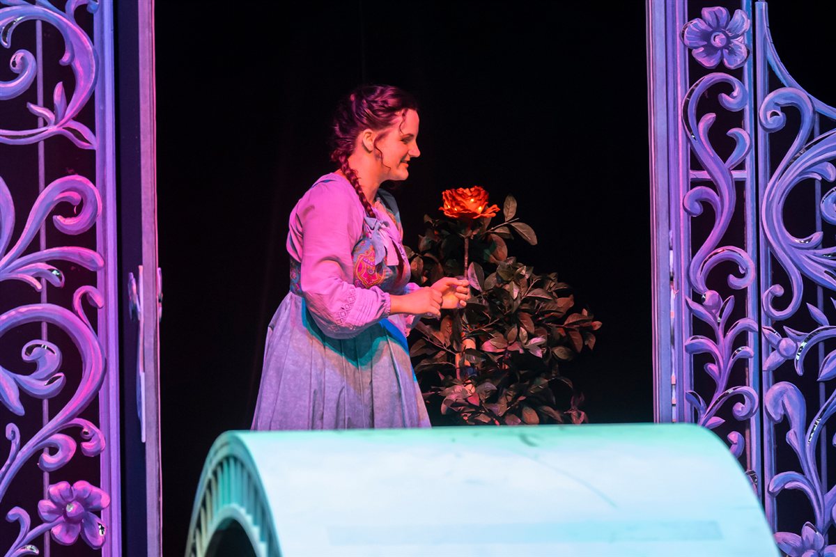 Die feuerrote Blume 7