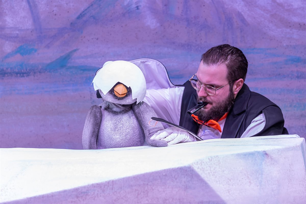 Kleiner Pinguin 1