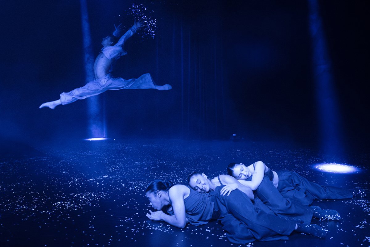 Tausendundeine getanzte Nacht 8