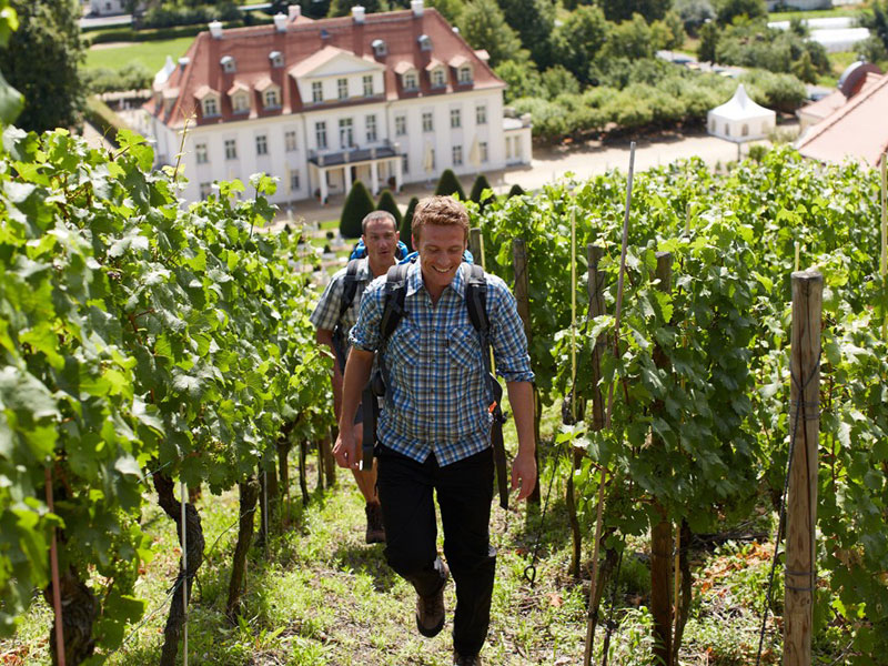 Landesbühnen Sachsen – Schloss Wackerbarth – Weinbergwanderung Schloss Wackerbarth - Weinbergwanderung