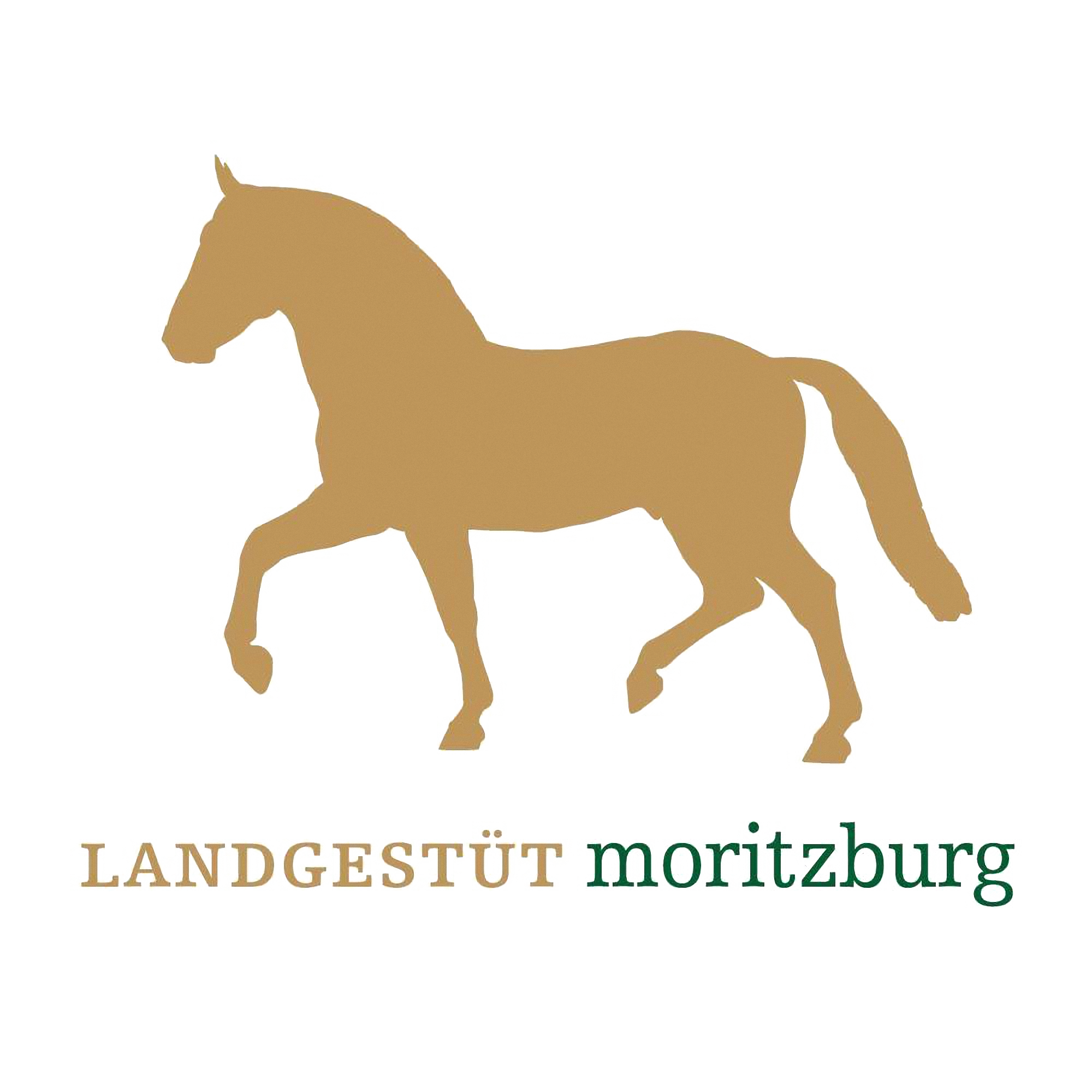 Logo Landgestüt Moritzburg