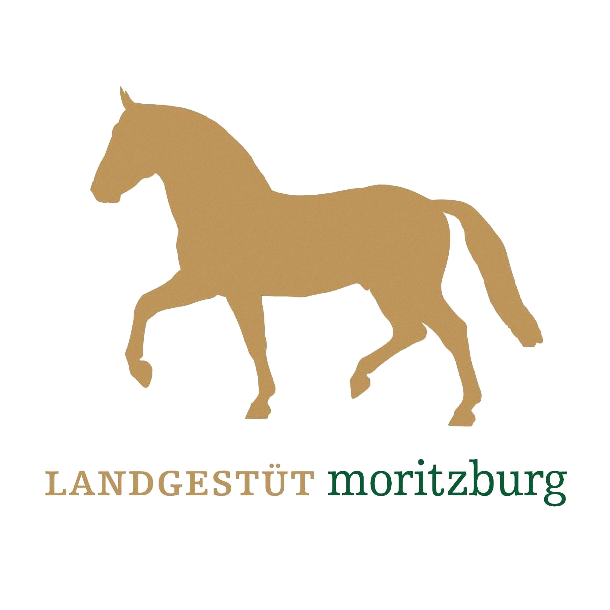 Das Logo des Landgestüts Moritzburg.