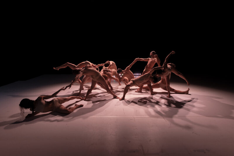 Tänzer in fleischfarbener Unterwäsche zeigen auf einer schwach beleuchteten Bühne eine bizarre Choreografie - Link zur Unterseite Tanztheater