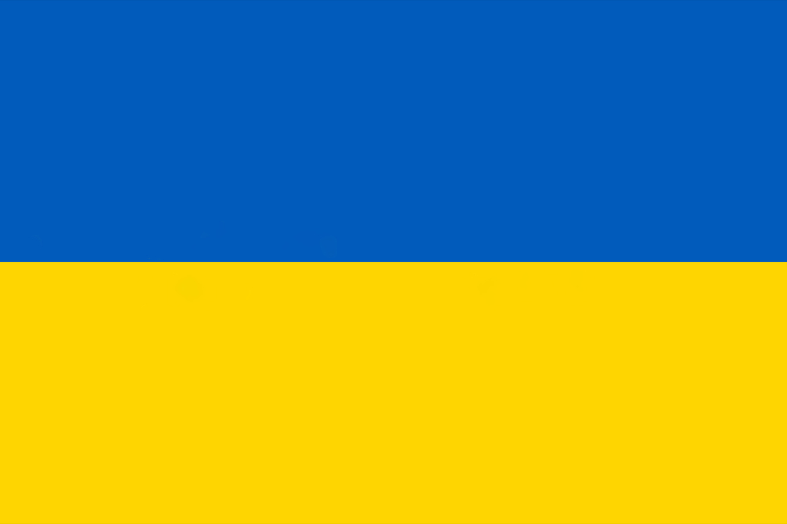 Aufruf zum Jahrestag des russischen Angriffs auf die Ukraine - zum Beitrag