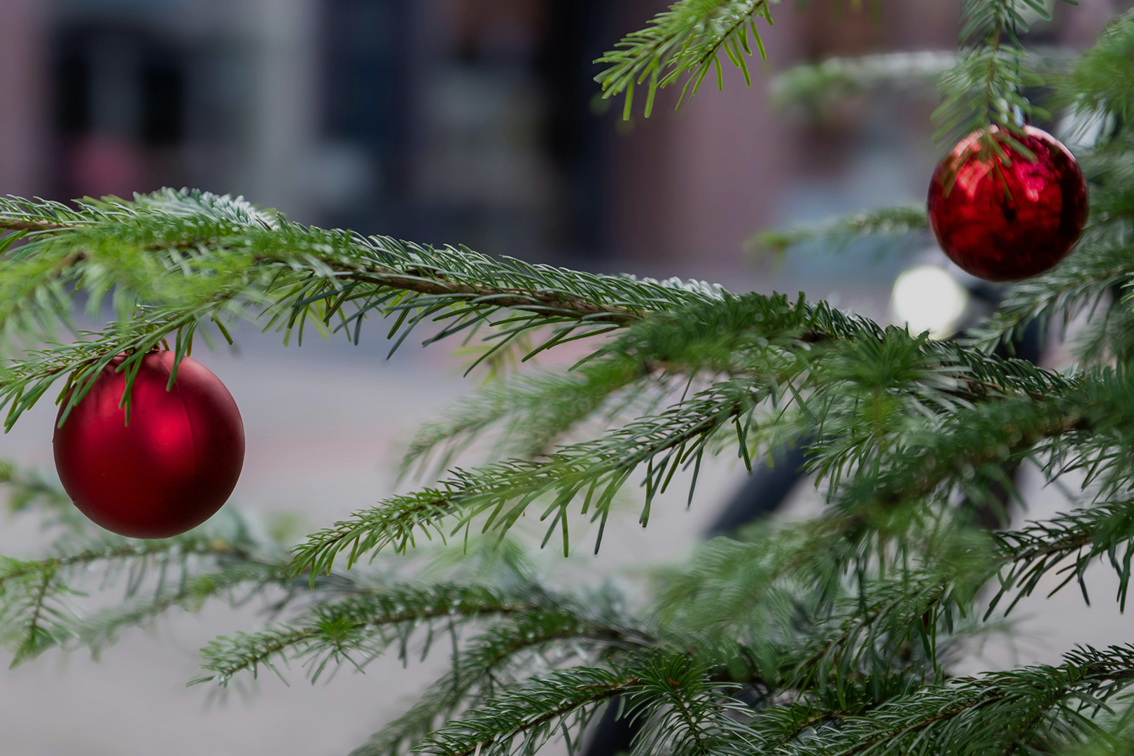Jetzt sparen: Weihnachtsaktion für die Felsenbühnen Festspiele 2026