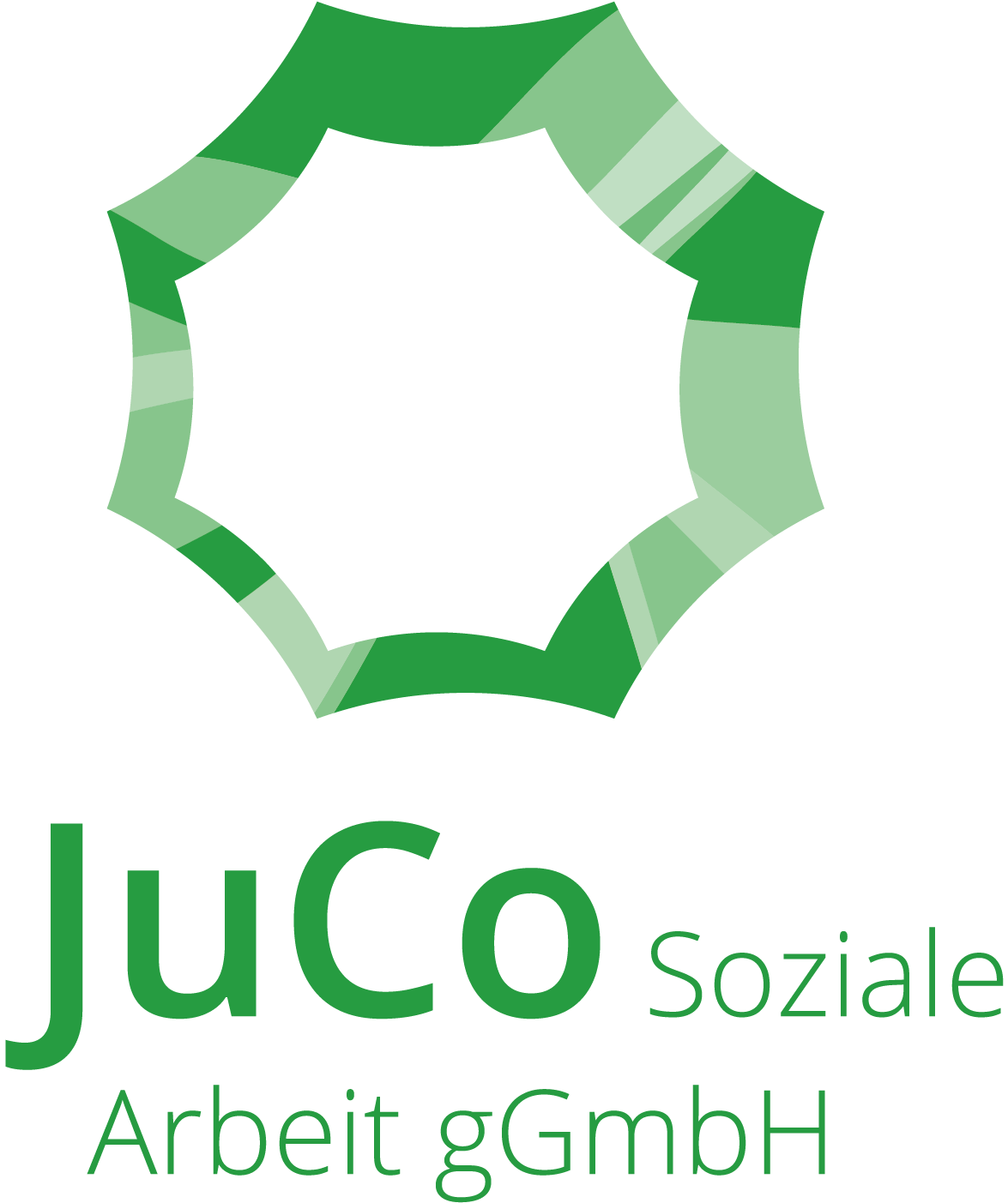 Das Logo von JuCo - Link auf www.juco-coswig.de
